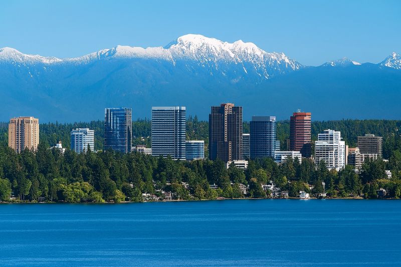 Best Bathtub Installation pros in Seattle, WA